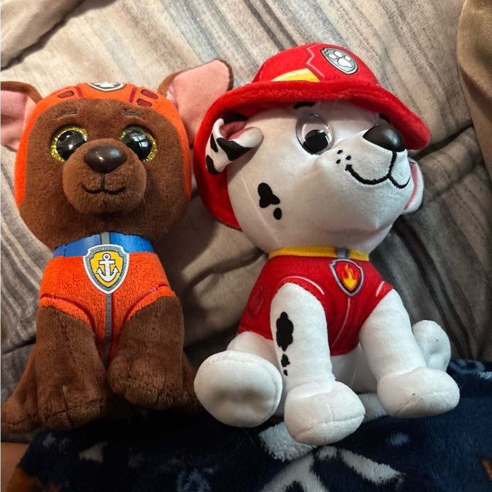 Paw patrol